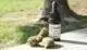 What is Delta-8 THC Vape Juice Image