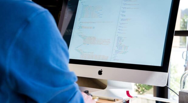 IT Professionalism in Information Technology Essay