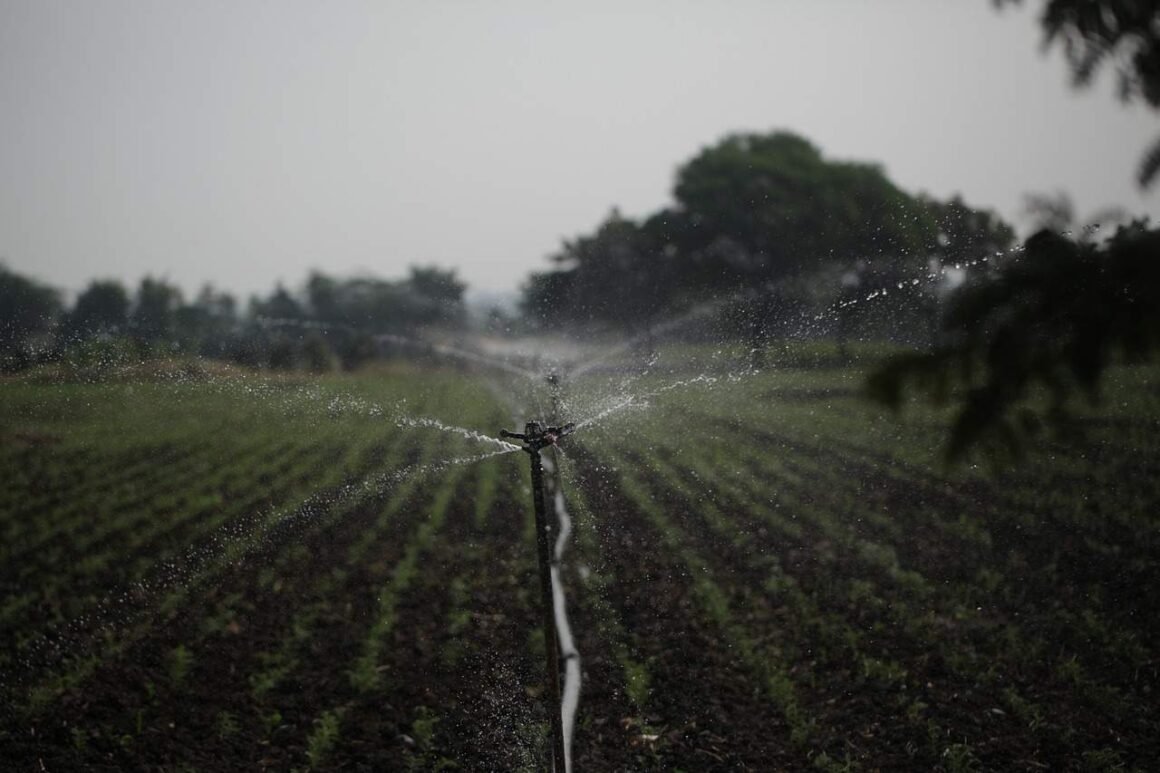 Sustainable Agriculture for Food Environmental Sciences Image