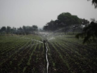 Sustainable Agriculture for Food Environmental Sciences Image