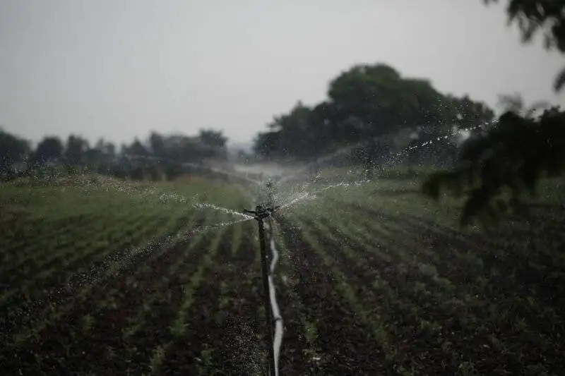 Sustainable Agriculture for Food Environmental Sciences Image