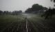 Sustainable Agriculture for Food Environmental Sciences Image