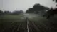 Sustainable Agriculture for Food Environmental Sciences Image