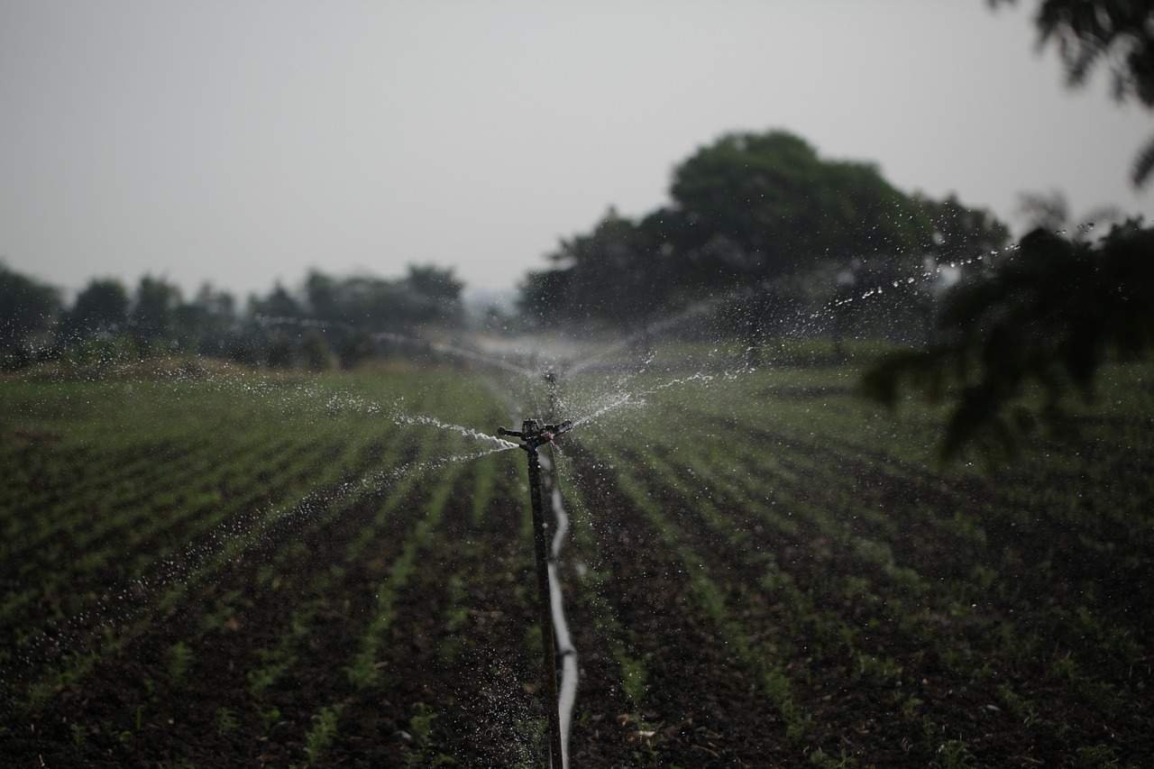 Sustainable Agriculture for Food Environmental Sciences