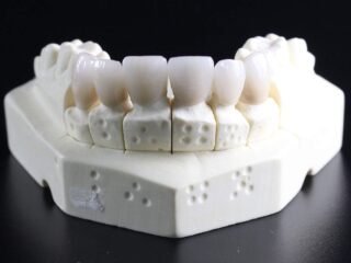 Differences between Temporary Teeth and Permanent Teeth Image