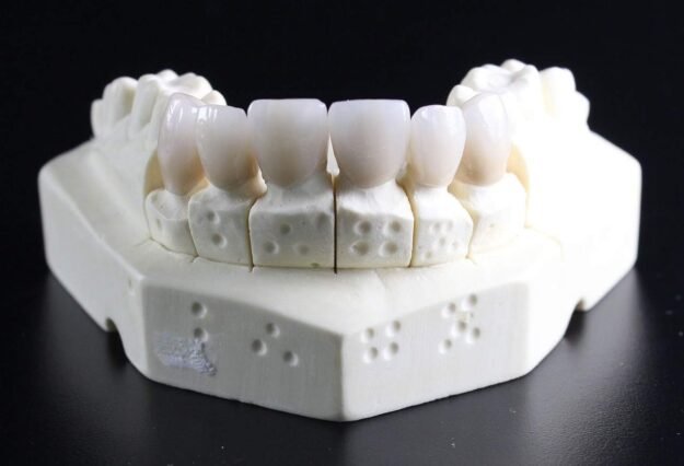 Differences between Temporary Teeth and Permanent Teeth Image