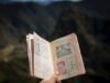 A Case Study in Visa to the United States