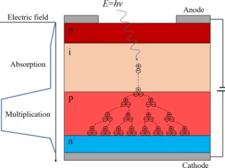 Understanding Avalanche Photodiodes Amplification Mechanism Applications Technology Advantages and Limitations Image