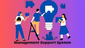 How Can a Management Support System Help Your Business Image