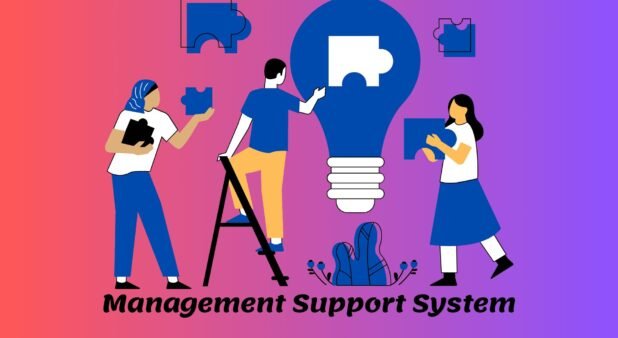 How to Create an Effective Management Support System