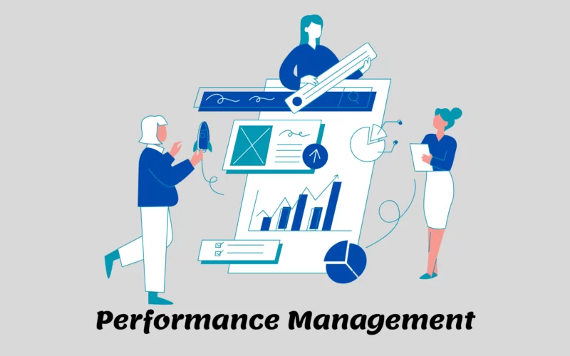 Performance Management Meaning Elements Goals Stages Practices and Examples Image