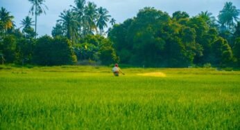 Exploring the Health Consequences of Agricultural Chemicals on Humans