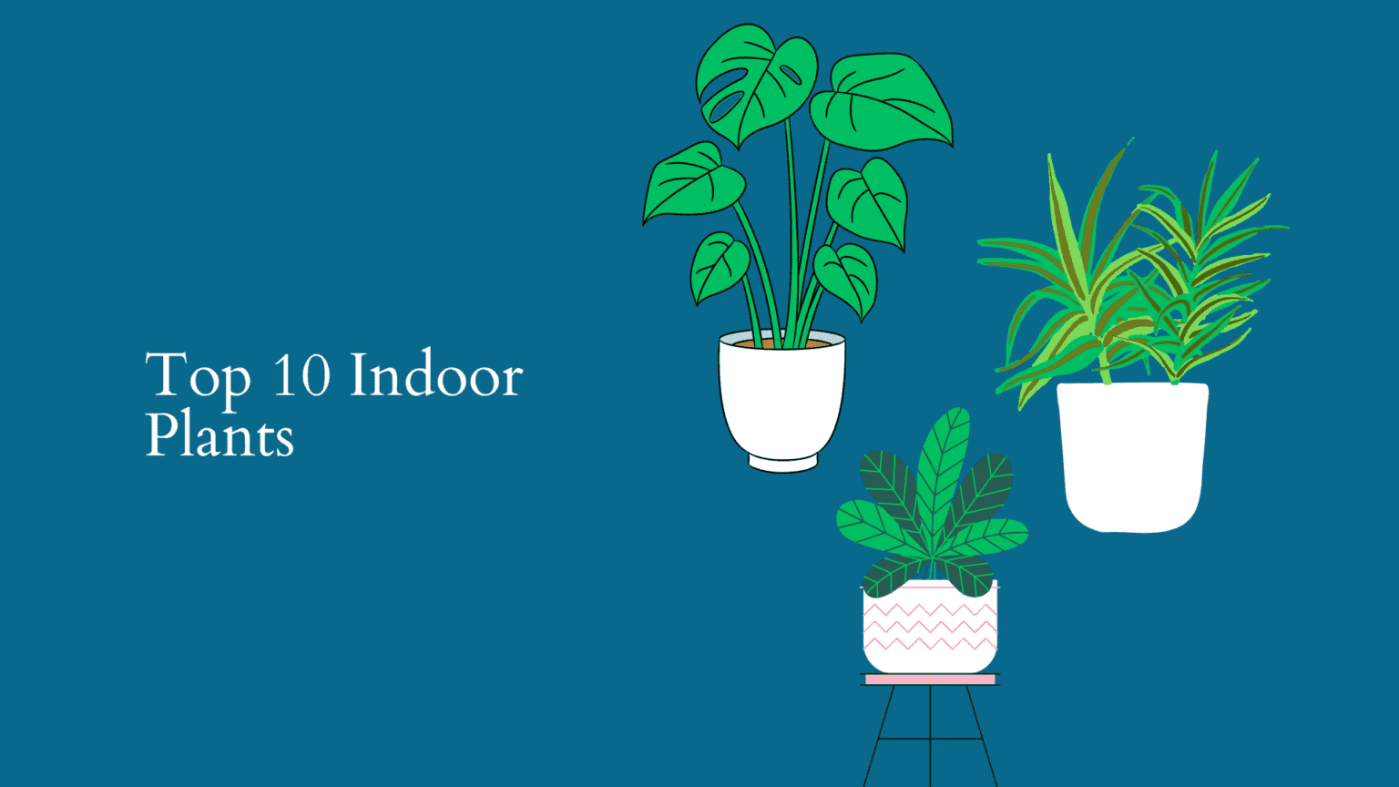 Top 10 Indoor Plants: The Ultimate Guide - Ilearnlot