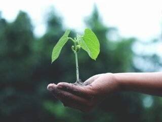 Understanding the Meaning of Redeem in Different Contexts