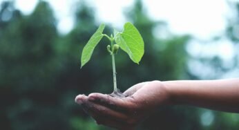 The Power and Meaning of Redeem