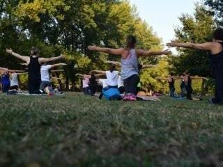 Understanding the Definition of Wellness: A Holistic Approach to Well-Being