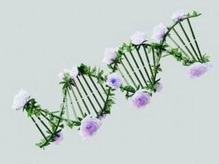Unraveling the Definition of Chromosomes