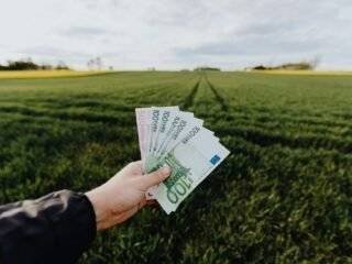 Understanding the Difference Between Profit Maximization and Wealth Maximization