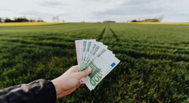 Difference Between Profit Maximization and Wealth Maximization