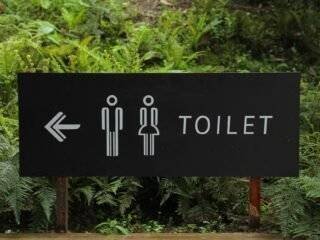 Exploring the Multifaceted Definition of Gender