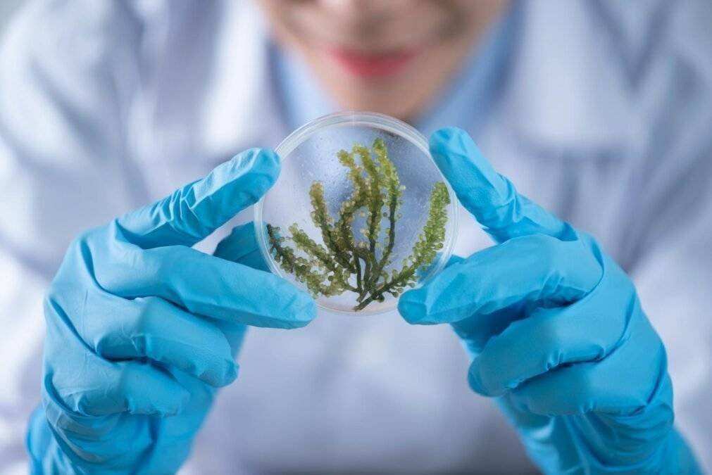 Top 6 Science Questions and Answers