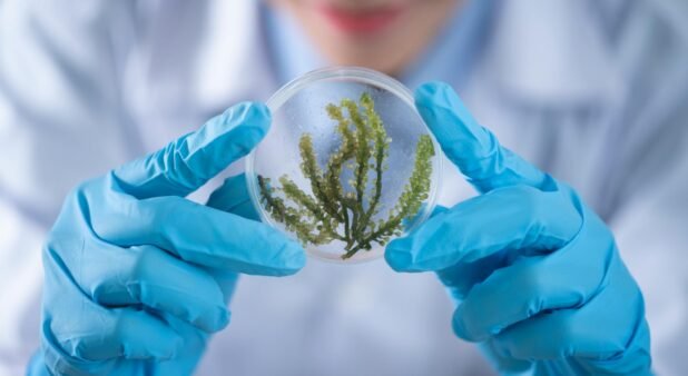 Top 6 Science Questions and Answers
