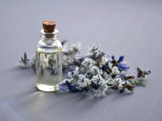 Scent and Sensibility - The Art of Choosing the Perfect Fragrance