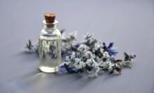 Scent and Sensibility - The Art of Choosing the Perfect Fragrance