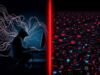 Difference between DDoS and DoS attack