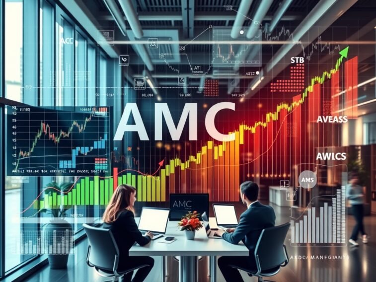 What are AMC Asset Management Company Stocks