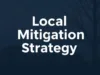 A Case Study of Local Mitigation Strategy (LMS)