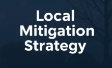 A Case Study of Local Mitigation Strategy (LMS)