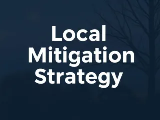 A Case Study of Local Mitigation Strategy (LMS)