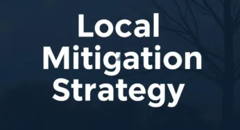 A Case Study of Local Mitigation Strategy (LMS)