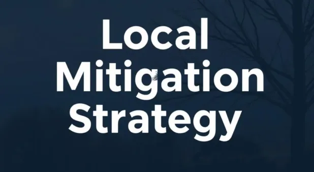 A Case Study of Local Mitigation Strategy (LMS)
