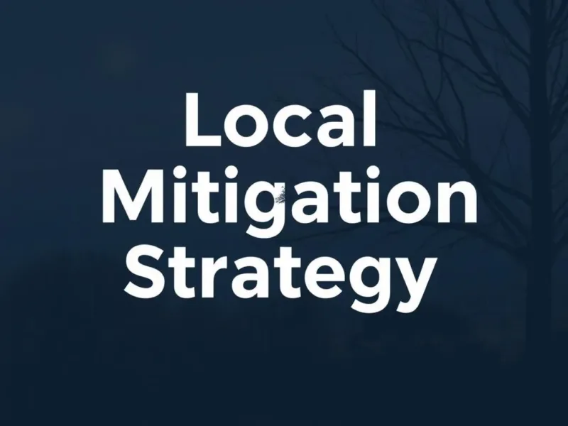 A Case Study of Local Mitigation Strategy (LMS)