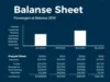 Balance Sheet Prepaid Expenses