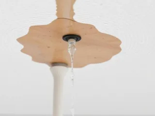 Best Ceiling Water Leakage Solution