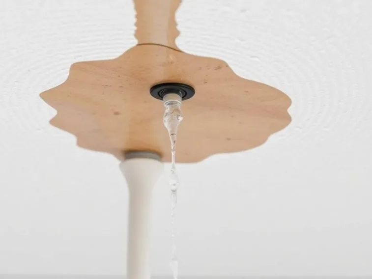 Best Ceiling Water Leakage Solution