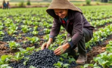 Farming Carbon Initiative and UPSC