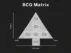BCG Matrix of Companies