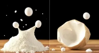 What Structural Differences can be found between Starch and Cellulose Image