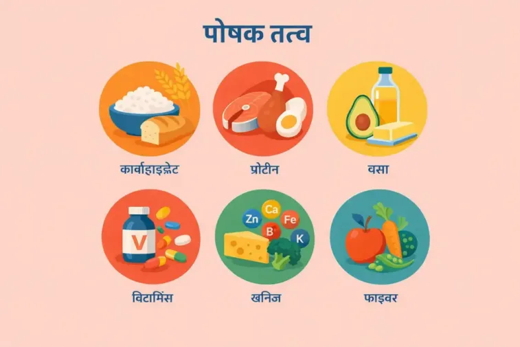 पोषक तत्त्व (Nutrients Hindi) Image